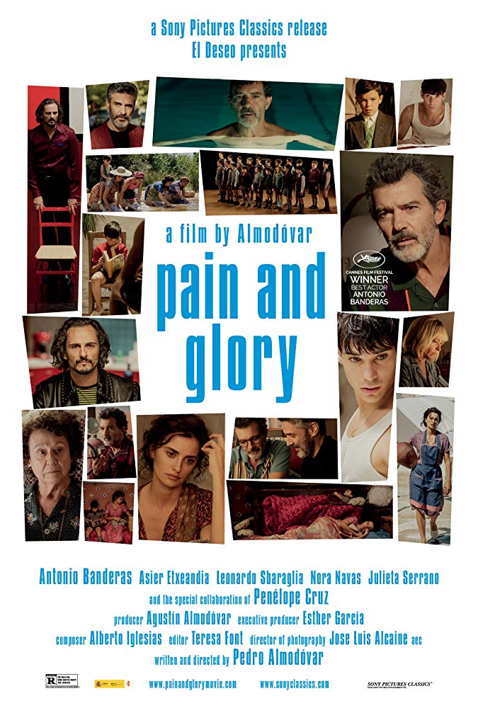 POSTER Pain and Glory
